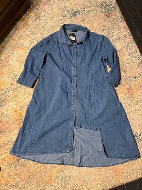 Reborn Denim Blue Long A-Line Shirt Dress 1X NWT